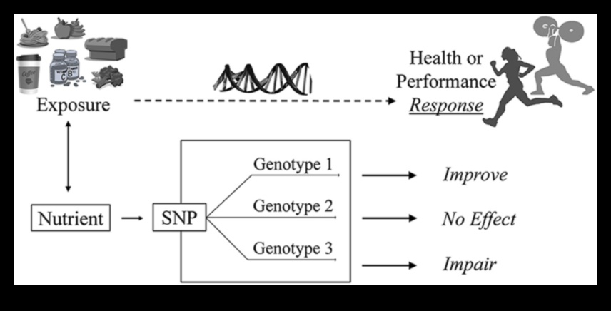 Beyond-Size-Fits-All: Προσαρμοσμένη Διατροφή με Nutrigenomics