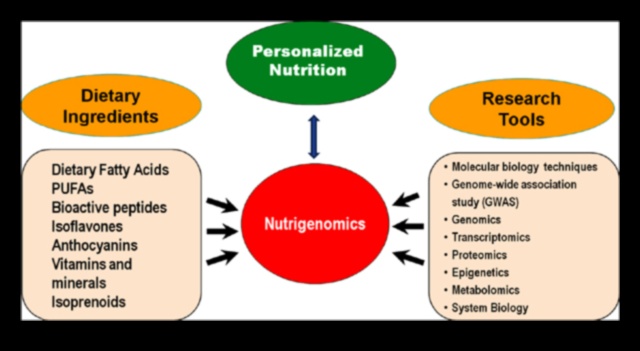 Beyond-Size-Fits-All: Προσαρμοσμένη Διατροφή με Nutrigenomics