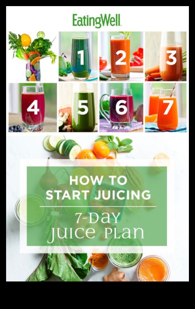 Masterclass DIY Veggie Juice: Perfecting Your Skills in Fresh Juice Blending