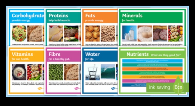 Κυριαρχία στους υδατάνθρακες: Πλοήγηση στον κόσμο των βασικών θρεπτικών συστατικών