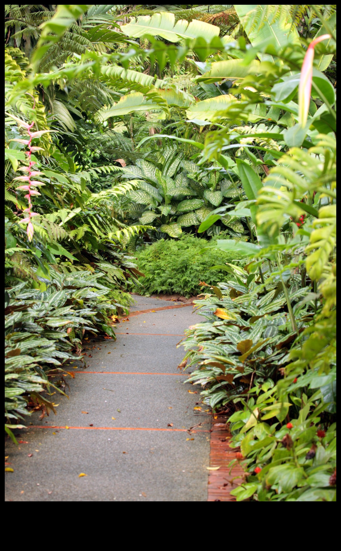 Blossom Bliss: Εξερευνήστε τις τάσεις της μαγείας της διακόσμησης κήπου