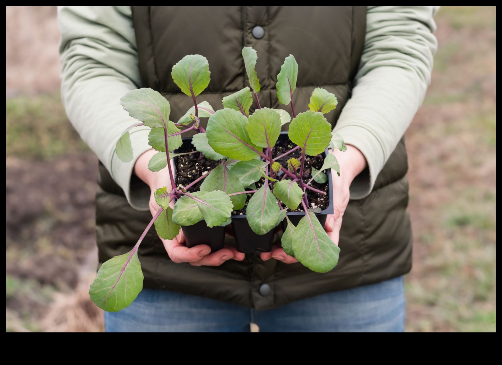 Rooted Intelligence: Thriving with Garden Education