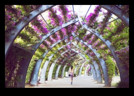 Blossom Bliss: Εξερευνήστε τις τάσεις του Allure of Garden Decor