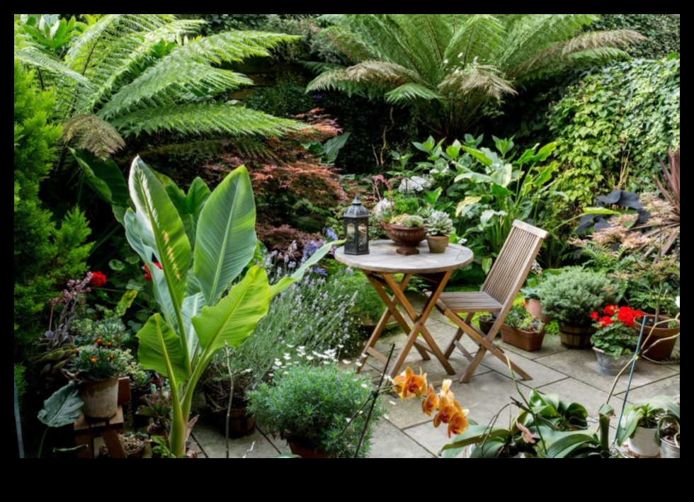 Κήποι σε μέγεθος πίντας: Αστική κηπουρική σε μικροσκοπικούς χώρους