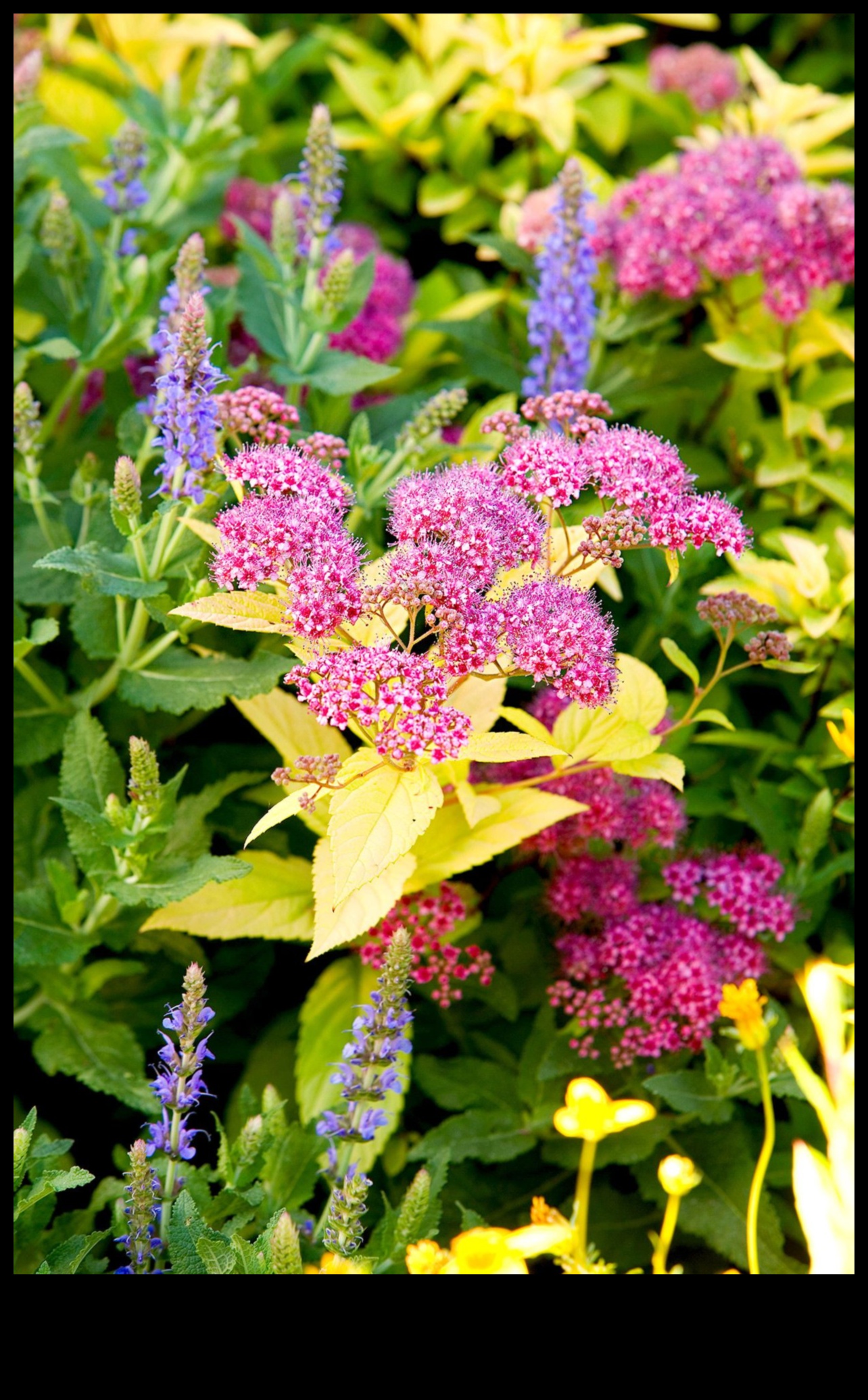 Artistry in Bloom: Ανυψώστε τον κήπο σας με μοναδικές δημιουργίες