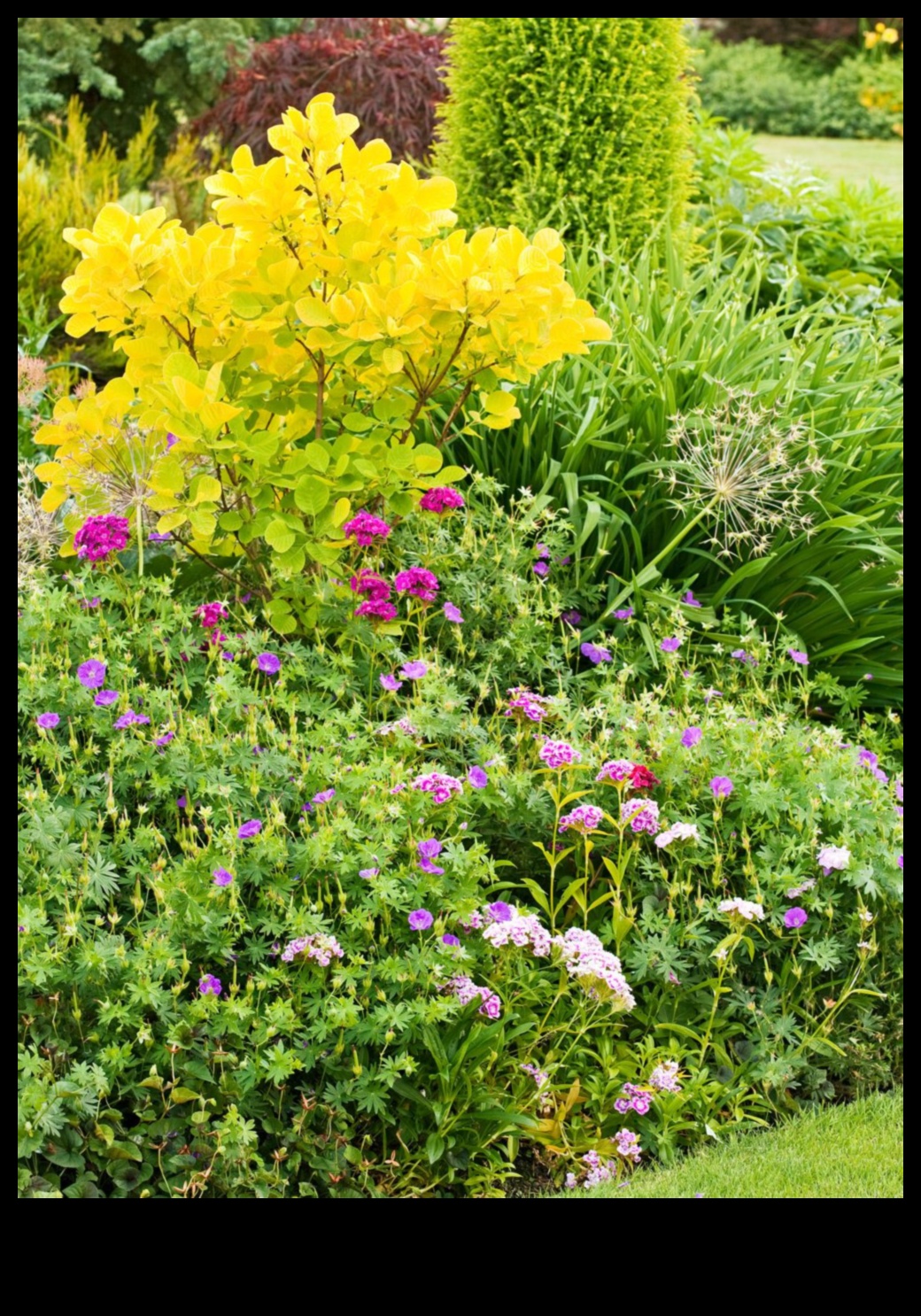 Artistry in Bloom: Ανυψώστε τον κήπο σας με μοναδικές δημιουργίες