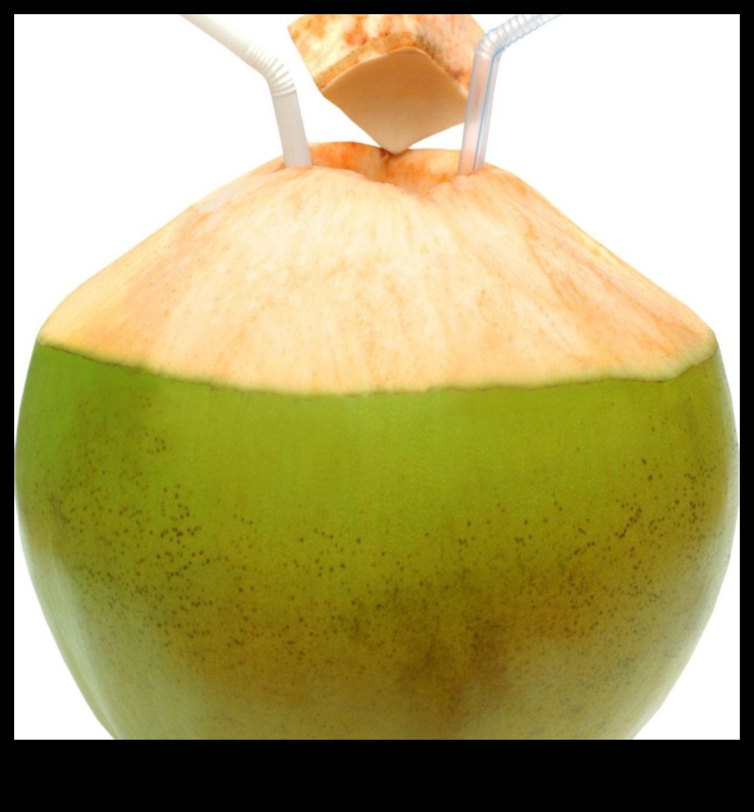The Art of Coconut Water Crafting: Tips and Inspirations for Coconut Enthusiasts