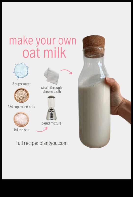 DIY Oat Adventures: Δημιουργία μοναδικών και γευστικών παρασκευασμάτων φυτικού γάλακτος