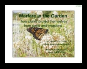Garden Warriors: Tactics for a Pest-free Sanctuary