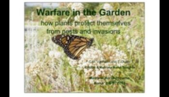 Garden Warriors: Tactics for a Pest-free Sanctuary