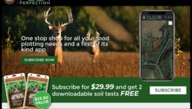 Perfection: Στρατηγικά Βήματα για Επιτυχή Σχεδιασμό Κήπου