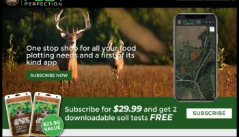 Perfection: Στρατηγικά Βήματα για Επιτυχή Σχεδιασμό Κήπου