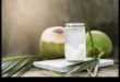 The Art of Coconut Water Crafting: Tips and Inspirations for Coconut Enthusiasts