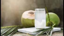 The Art of Coconut Water Crafting: Tips and Inspirations for Coconut Enthusiasts
