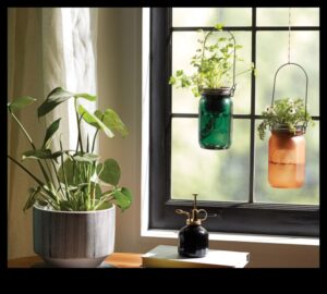 Κήποι σε μέγεθος πίντας: Αστική κηπουρική σε μικροσκοπικούς χώρους