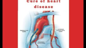 Cardiovascular Odyssey: Navigating the Seas of Heart Health