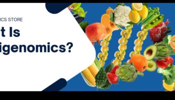 Unlocking Wellness: The Power of Nutrigenomics Diets