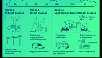 Commercial Fleet Footprints: Exploring the Impact of Vehicles on the Operations of Businesss