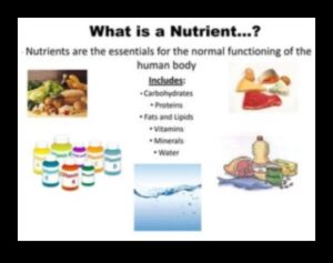 Κυριαρχία στους υδατάνθρακες: Πλοήγηση στον κόσμο των βασικών θρεπτικών συστατικών