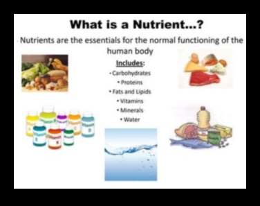 Κυριαρχία στους υδατάνθρακες: Πλοήγηση στον κόσμο των βασικών θρεπτικών συστατικών